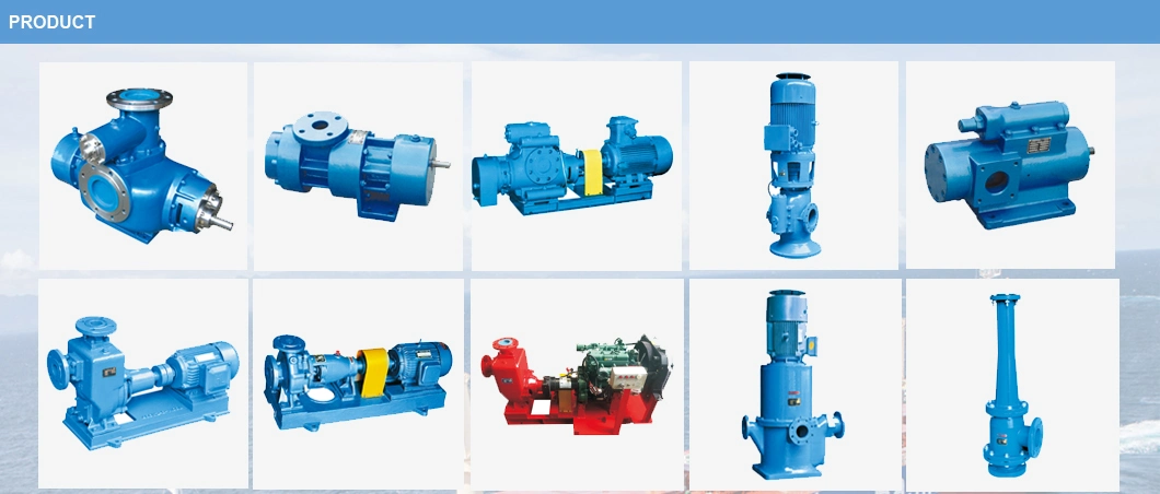 High Pressure Heavy Duty Double Screw Pump for Fuel Oil and Diesel Oil